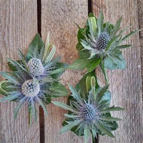 fwthumbBUTTONHOLES THISTLES FROM £5.00.jpg